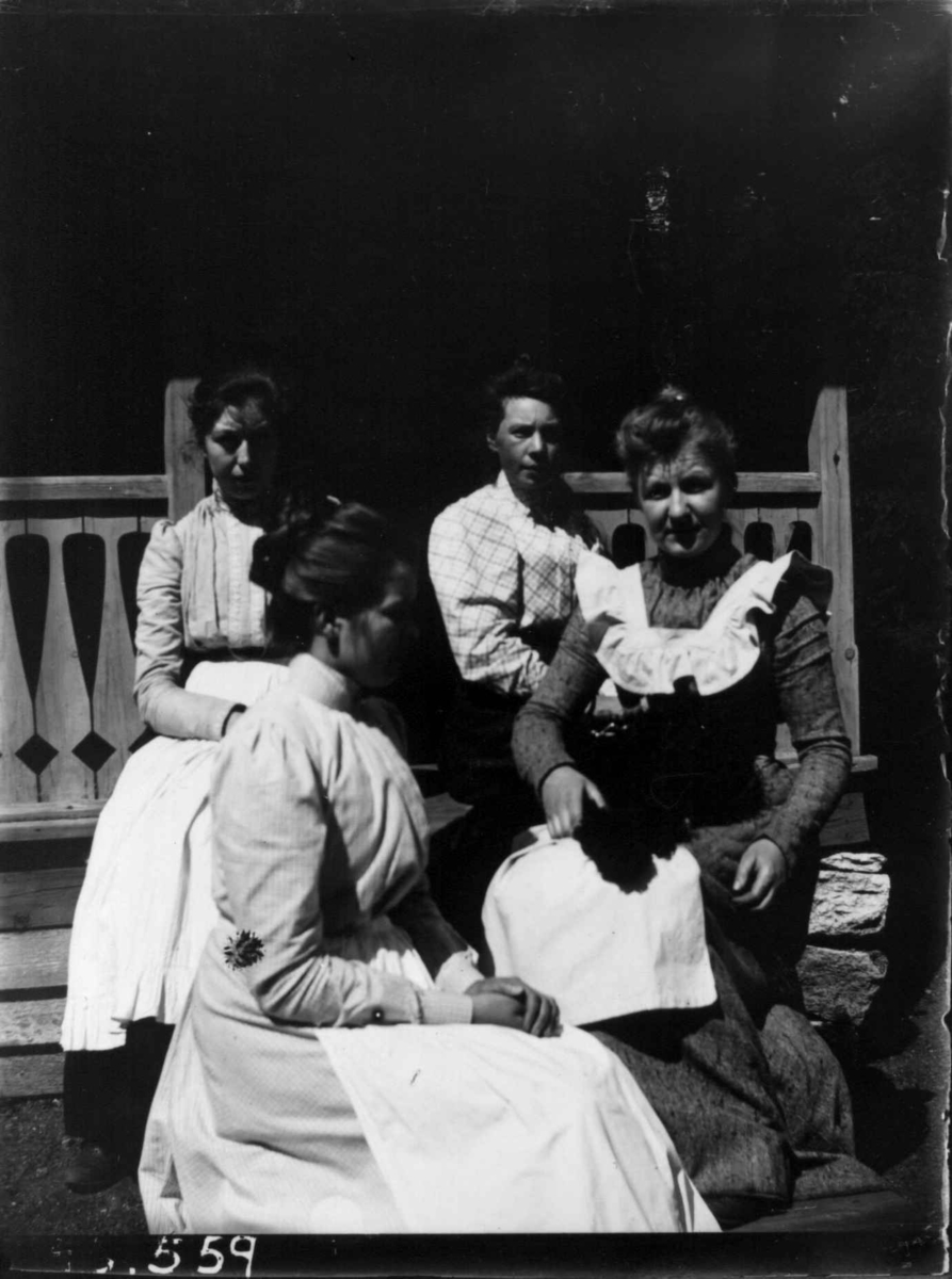 Gruppeportrett, 4 kvinner utendørs. Tjenestepiker?
Fra portrettserie av personer som bodde på eller besøkte Dal gård, Ullensaker, fotografert av gårdens eier, kammerherre Fredrik Emil Faye (1844-1903) i årene 1875-1900.
