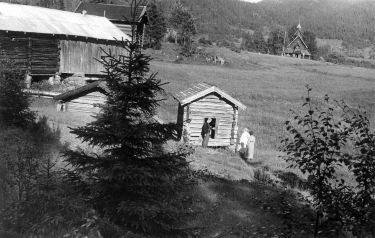 Lårdal bygdemuseum