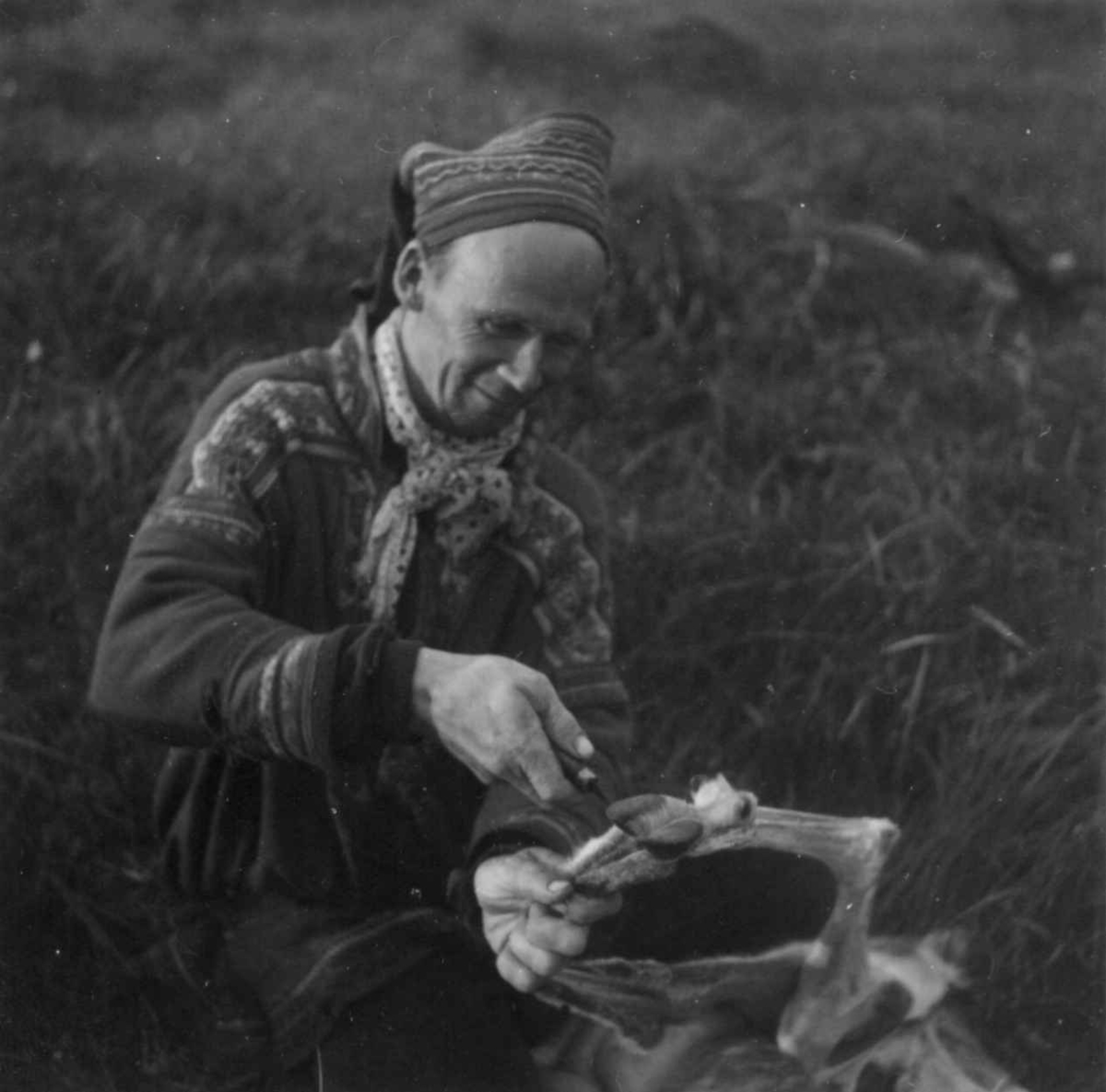 Bellingsskinnet taes av et reinsdyr etter slakting. Kvænangsfjell 1954.