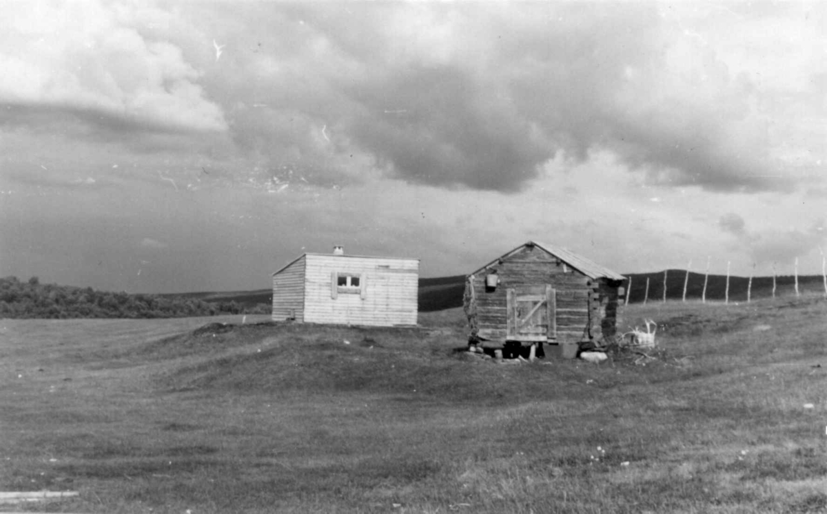 Nytt fjøs og uthus på gården til Mikkel Mathis Hätta, Mieron 1953.