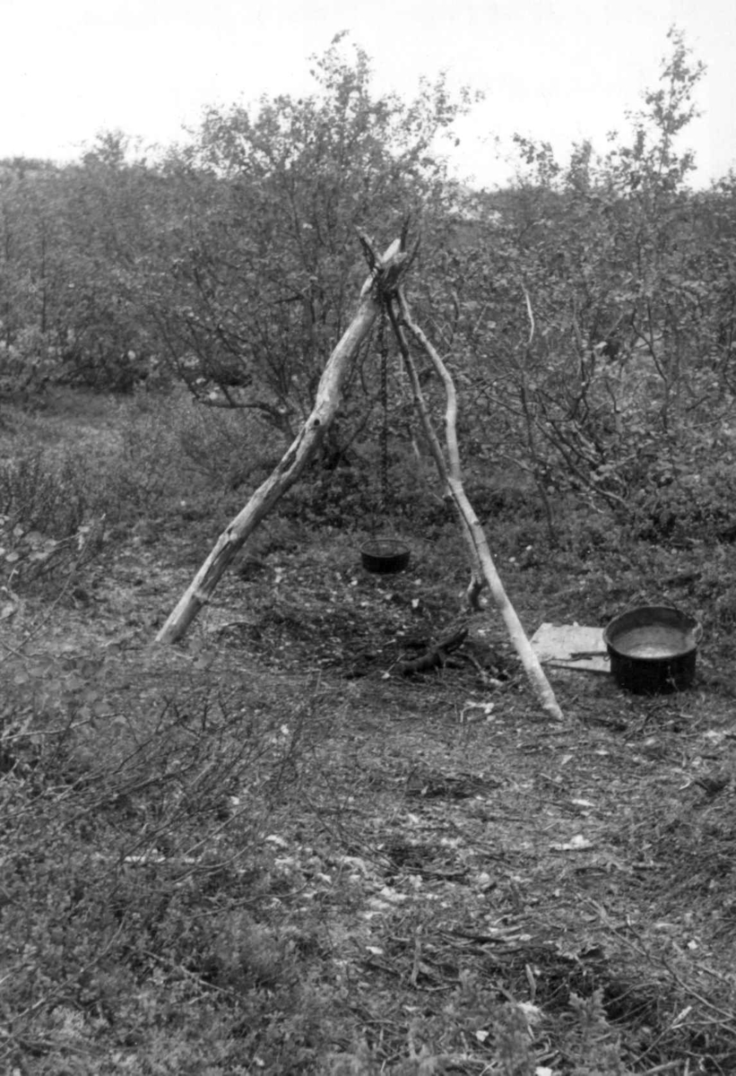 Kokestativ hos Johan Gaup på Nils Aslak og Johan Gaups sommerplass. Cunovuoppe 1953.