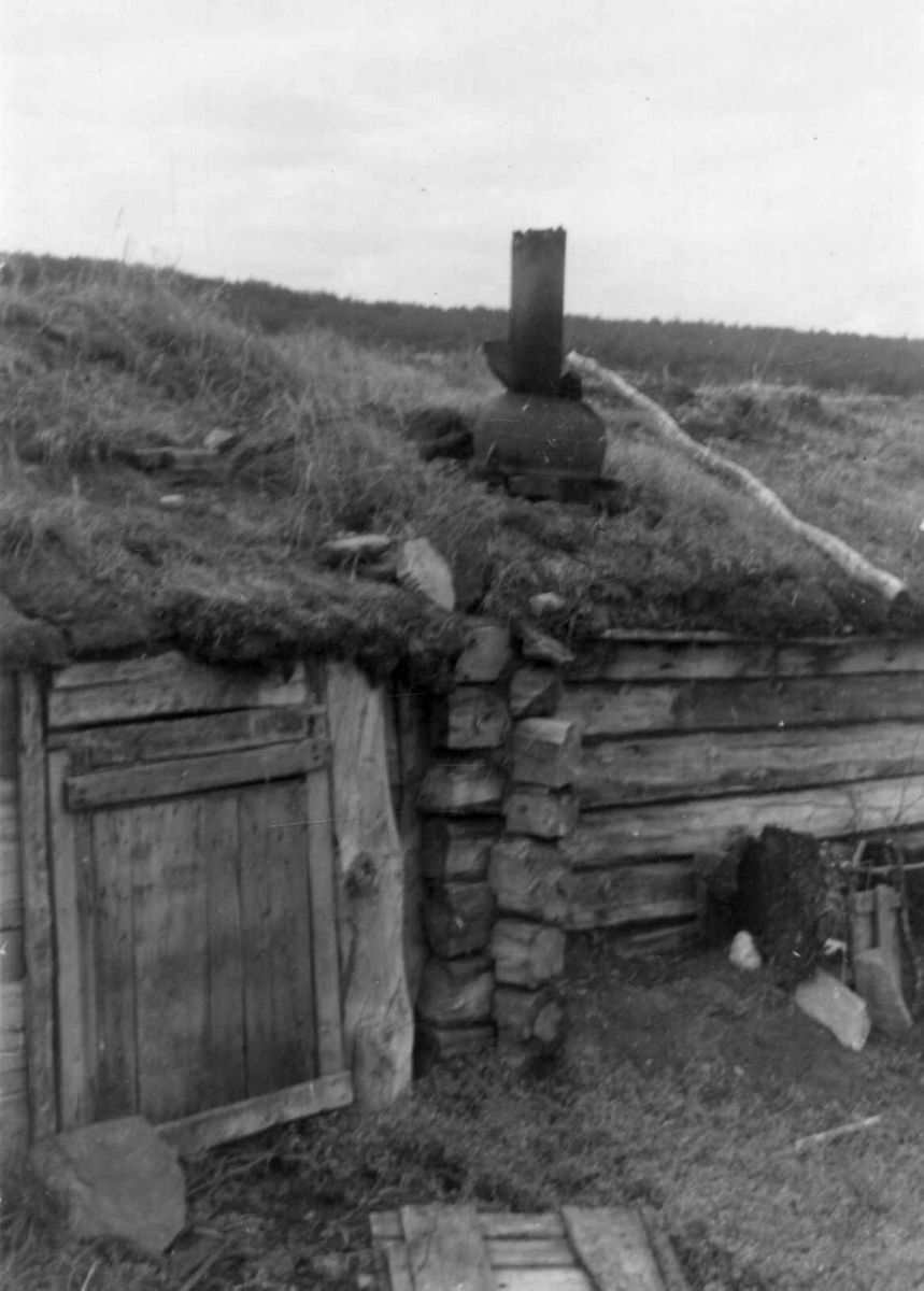 Inngangen til fjøset på Johan Mikkelsen Utsis gård, Hemmujavve 1953.