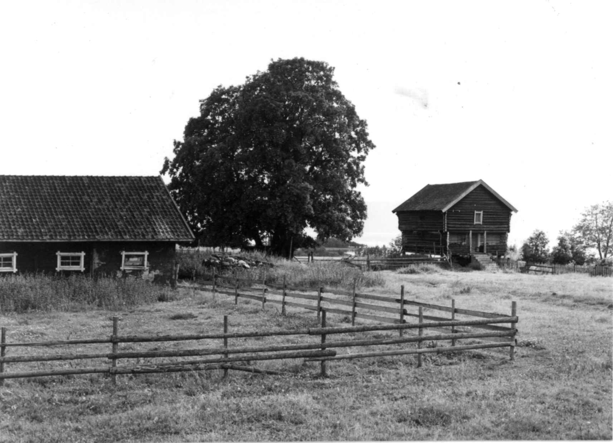 Ringnes, Stange, Hedmark. Tunet og stabbur.
Fra dr. Eivind S. Engelstads storgårdsundersøkelser 1956