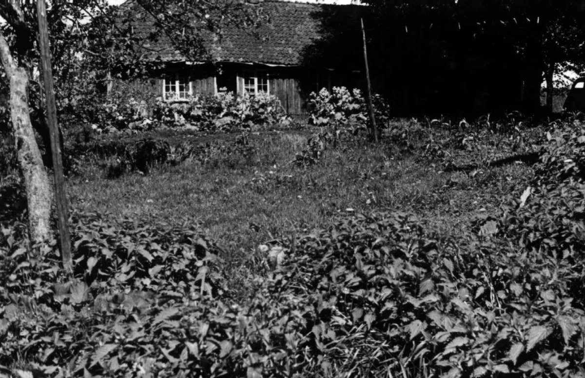 Stumberg gård, Idd, Halden, Østfold.
Fra Storgårdsundersøkelsene v/ dr. Eivind S. Engelstad ca. 1950.
Fra dr. Eivind S. Engelstads storgårdsundersøkelser 1954.