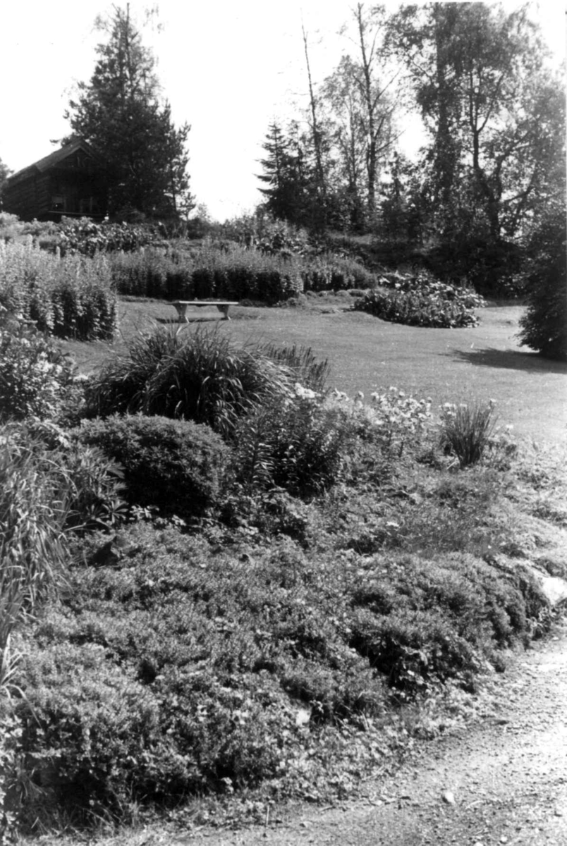 Losby
Fra dr. Eivind S. Engelstads storgårdsundersøkelser 1954.