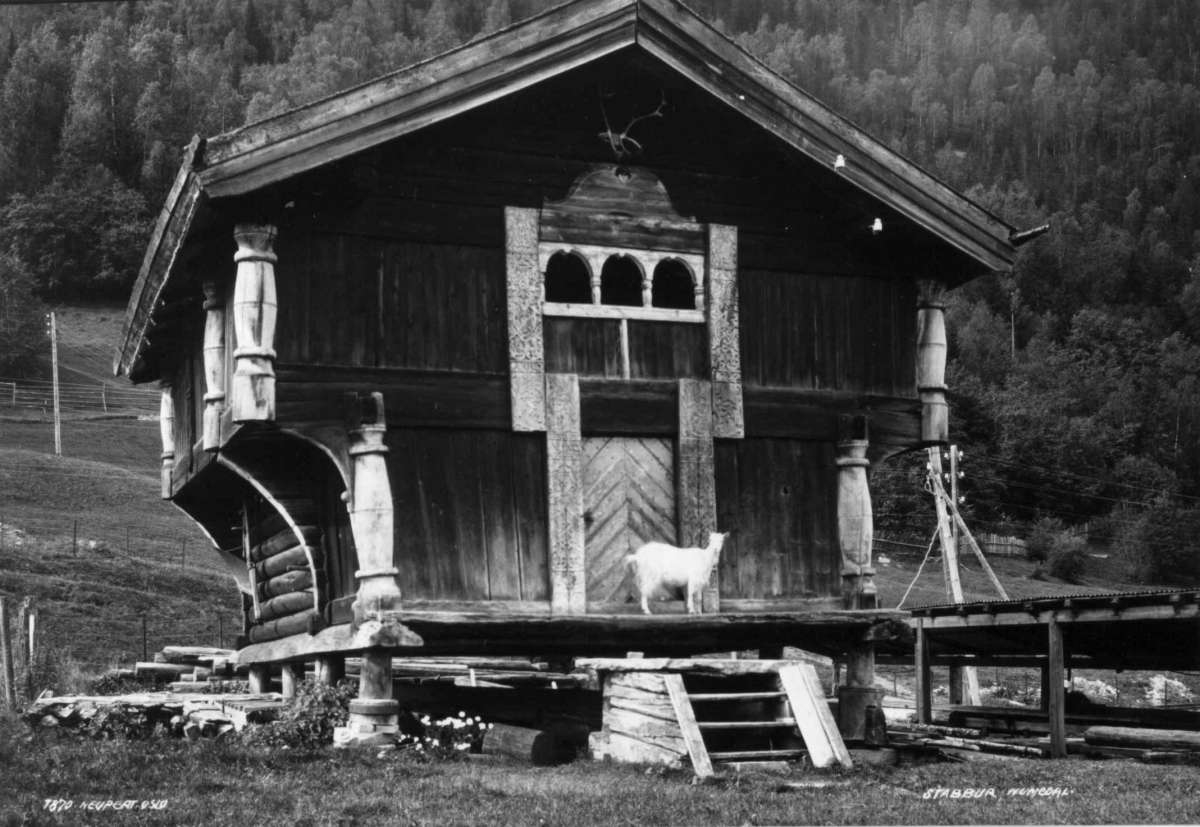 Kittelsland, Nordre Nore, Nore og Uvdal. 1930. Loft fra 1737. Geit foran loftsdøra. Bjørkeskog i bakgrunnen.