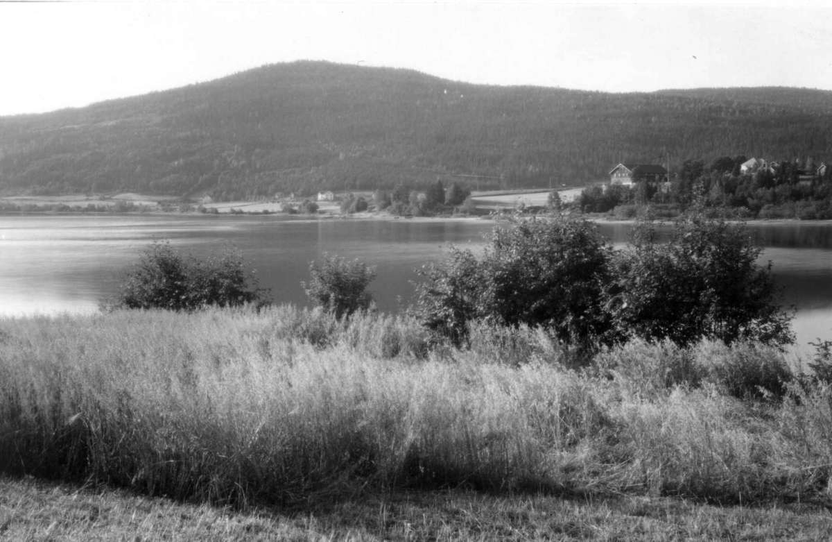 Vikersund (?),  Modum,  Buskerud. Oversiktsbilde. Landskap. Vann. Skog. Gårder. Bebyggelse.