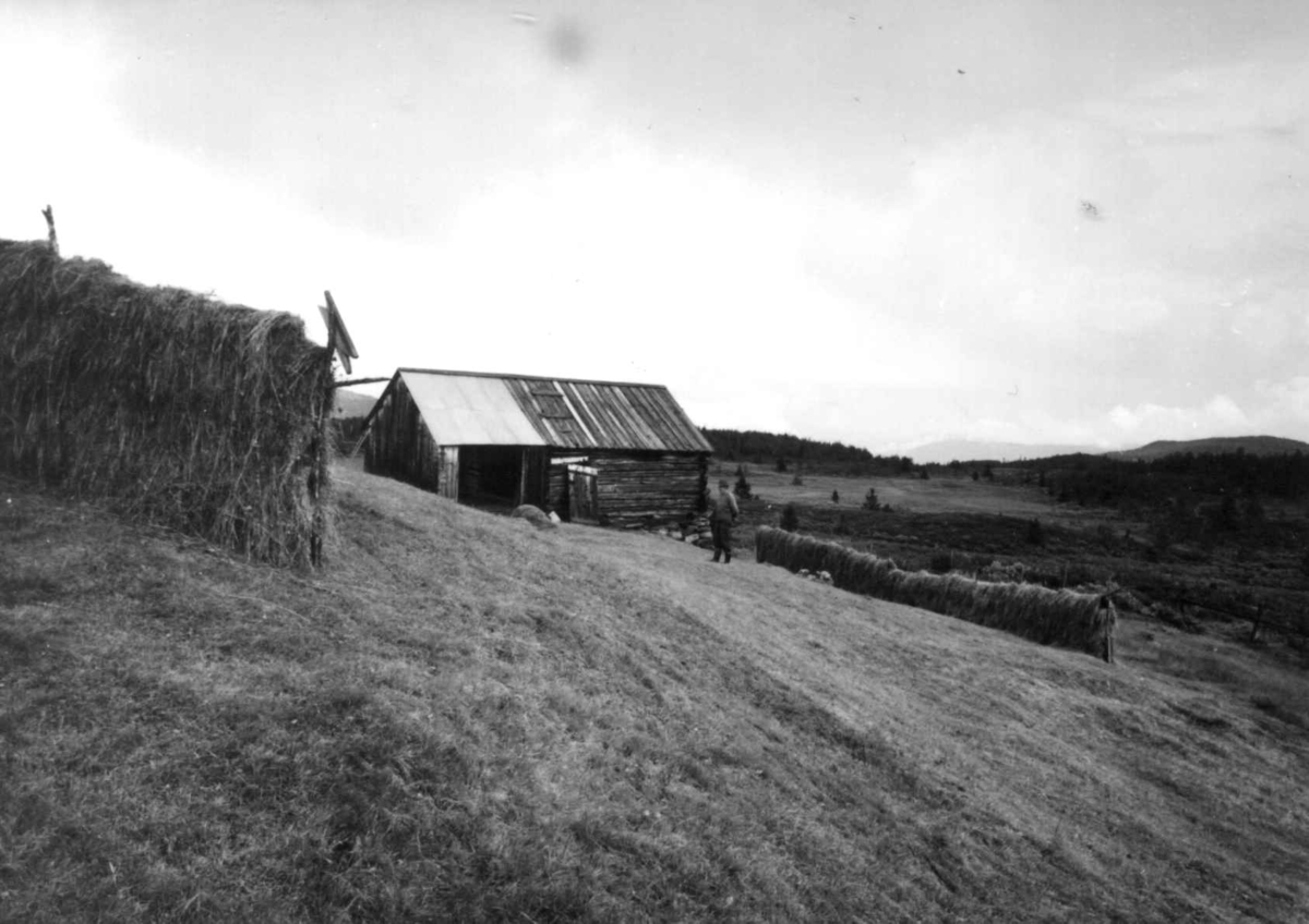 Slått, stølsarbeid og -stell