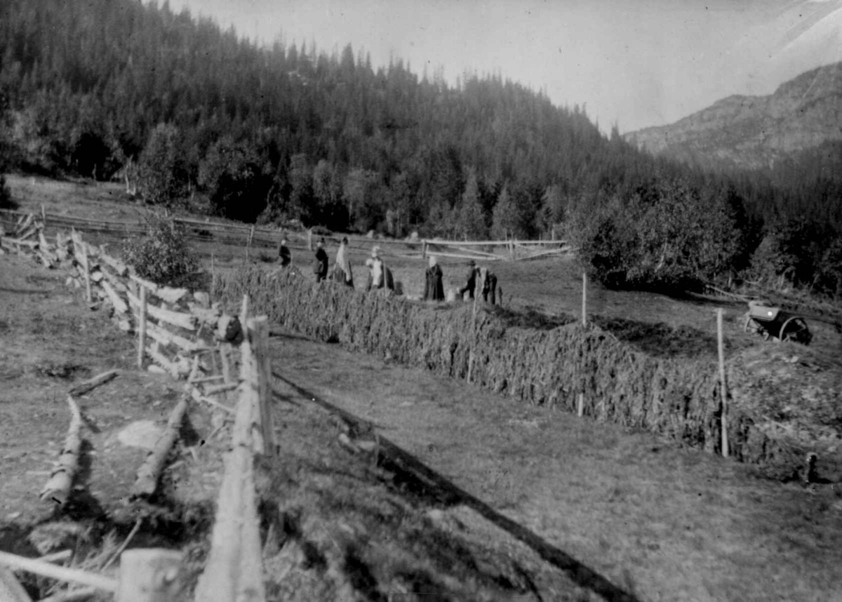 Fra en serie fotografier fra et album som har tilhørt folklorist og professor Moltke Moe (1859-1913), antatt fra 1880-årene med motiver fra Telemark. 