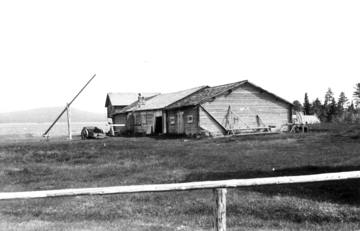 Fjøsbyning. Gråträsk ved Arvidsjaur 1958.