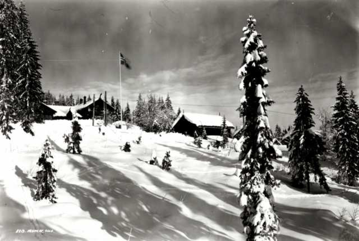 Frognerseteren Restaurant, Nordmarka, Oslo. Vintermotiv. Skog. Flaggstang med flagg.