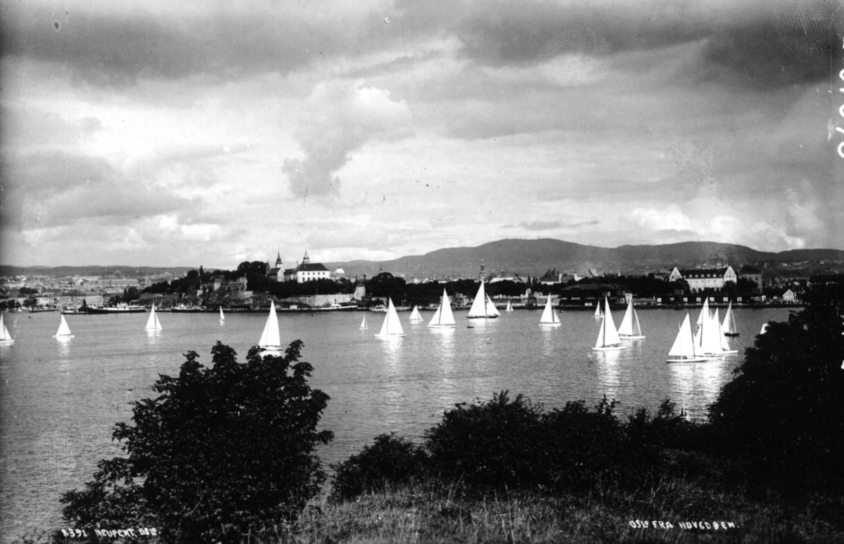 Oslo. Regatta i Oslofjorden sett fra Hovedøya mot Akershus Festning.