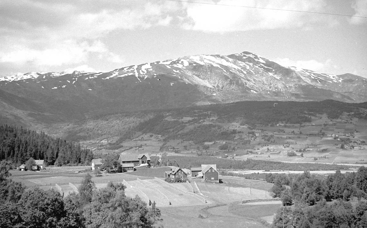 Bilder fra Auro med Lønahøgdi i bakgrunnen. Voss i Hordaland.