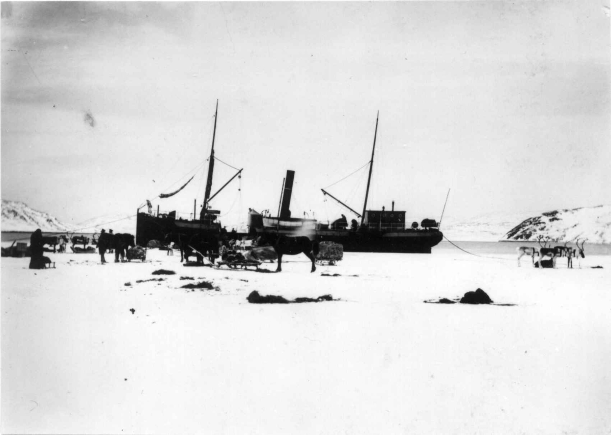 Dampskipet "Varanger" ved iskanten, Sør- Varanger, Finnmark.