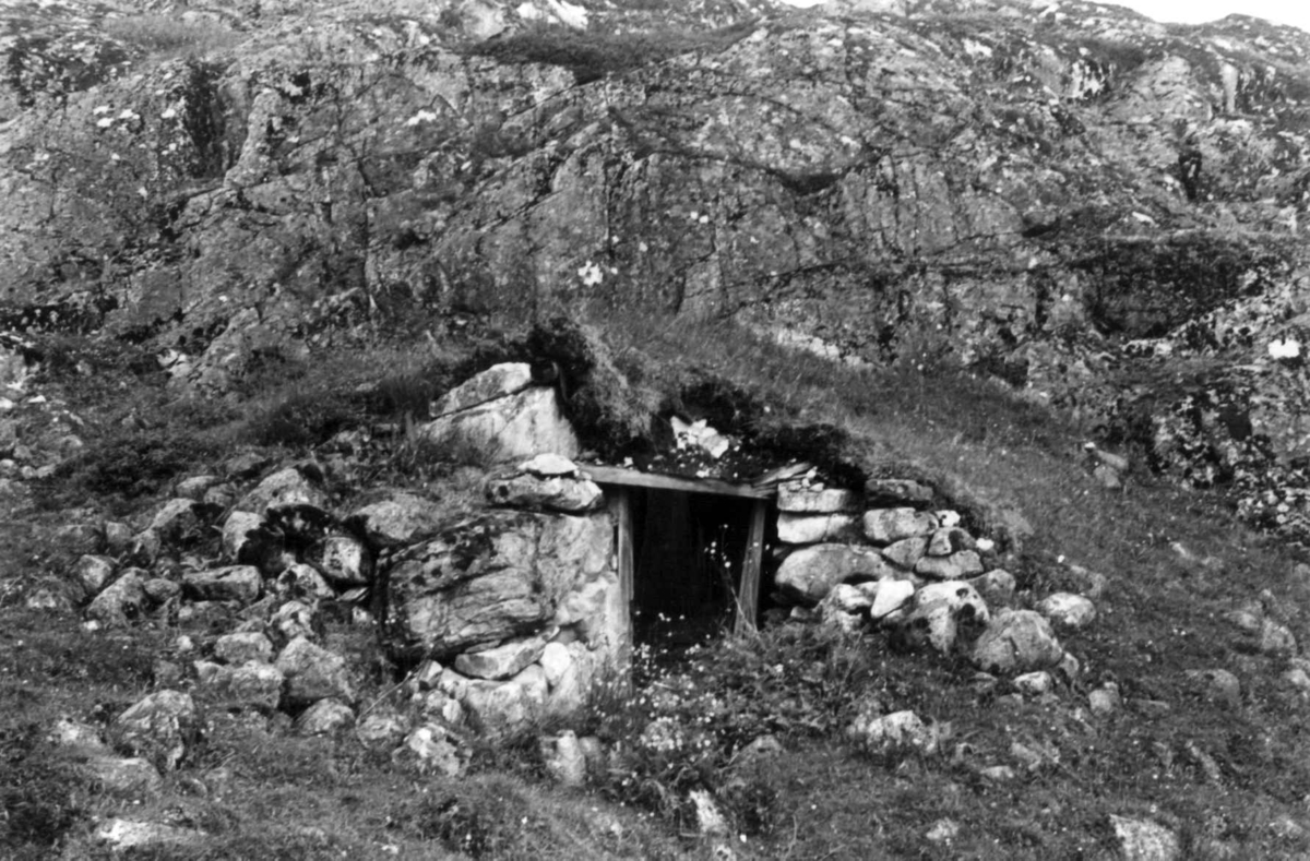 Jordkjeller. Sønsteplassen, Fillingsnes, Sør-Frøya i Sør-Trøndelag. Fotografert 1961.