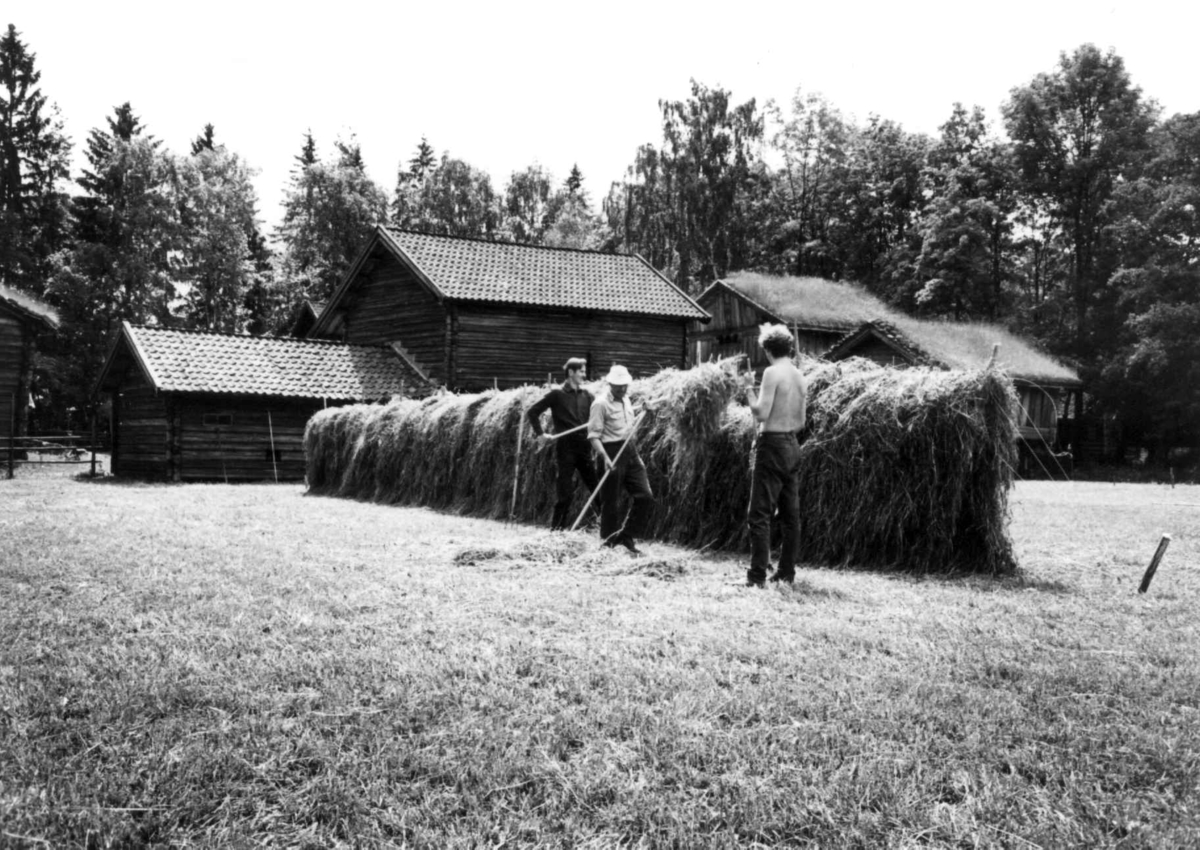 Hesjing på friluftsmuseet, Norsk folkemuseum. Fotografert av Sjur Fedje 1971. Innkommet 1972.