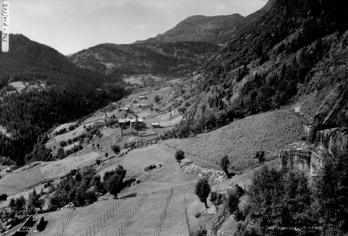 Fra Kivledal, Seljord kommune. Oversiktsbilde.
Gårdsanlegg i bratte dalsider.  Høyonn. Skog og fjell i bakgrunnen. 