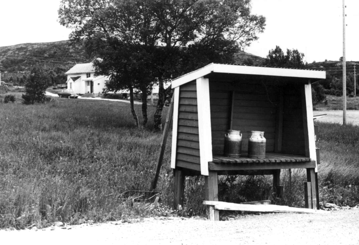 Melkerampe, mellom Stavik og Molde, Møre og Romsdal.
Grønn inni, rød m. hvite kanter. Kjørsvika, i Fræna kommune 