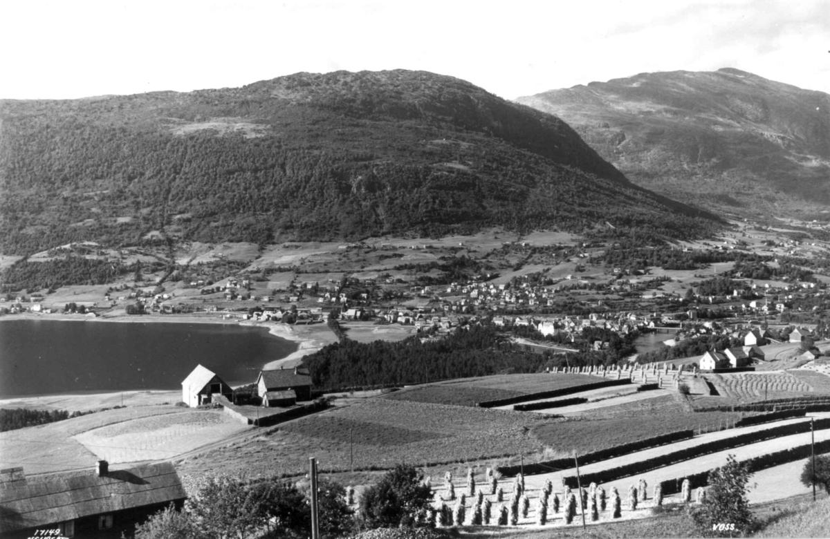 Voss. 1939. Oversiktsbilde. Landskap med gårder, jorder og åkrer. Høyonn. Vangsvatnet til venstre.   Skog og fjell i bakgrunnen.