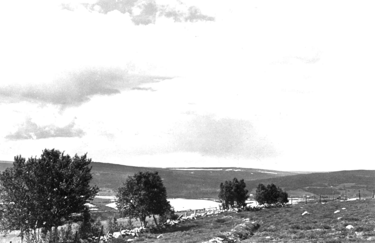 Oversiktsbilde over Rørostraktene mot nord. Røros1938.