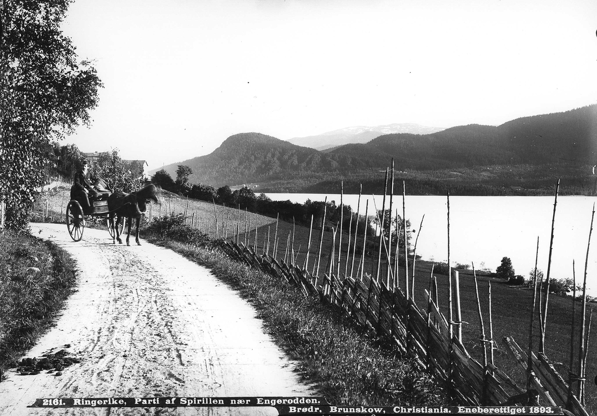 Landskap, Sperillen, Ringerike med omgivelser. I forgrunnen vei med mann med hest og stolkjerre, sett forfra, ant. èn av fotografbrødrene Brunskow. Skigard langs veien. Del av Den Norske Turistforenings samling landskapsbilder, de fleste tatt av fotografene Brødrene Brunskow.