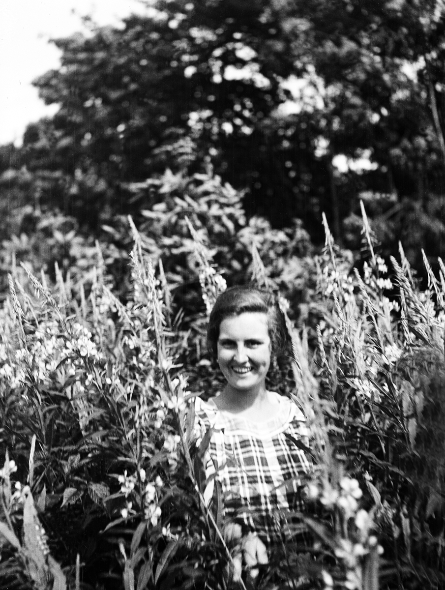 Dordi Arentz står en blomstereng av geitrams.