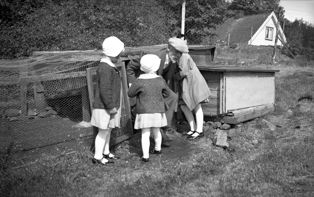 Farfra Eyvind Arentz kommer fra hønsehuset til barnrbarna Siri og Guri  Arentz og Randi Mørch på Åsly, Knarberg, Nøtterøy. Fotografert 1935.
