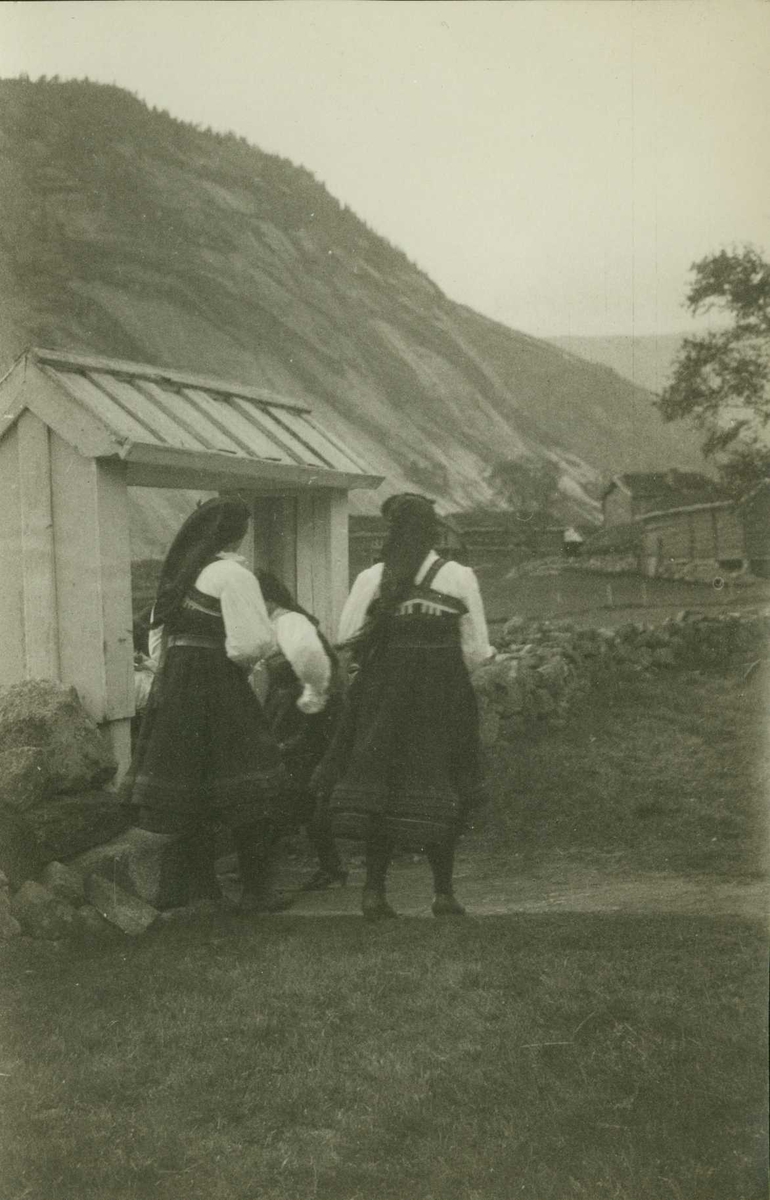 Kvinner i setesdalsdrakt.