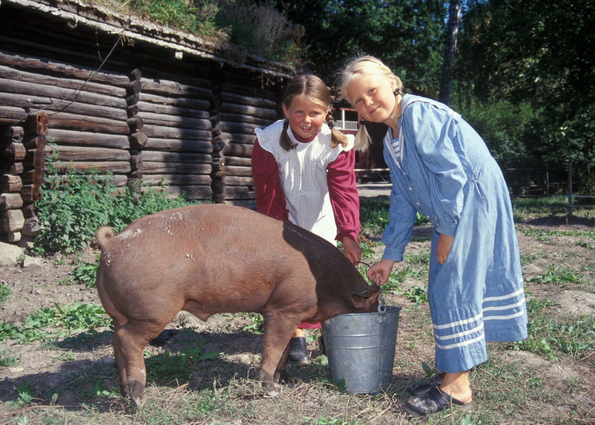 Barn i drakter besøker grisene
i friluftsmuseet i 2002.