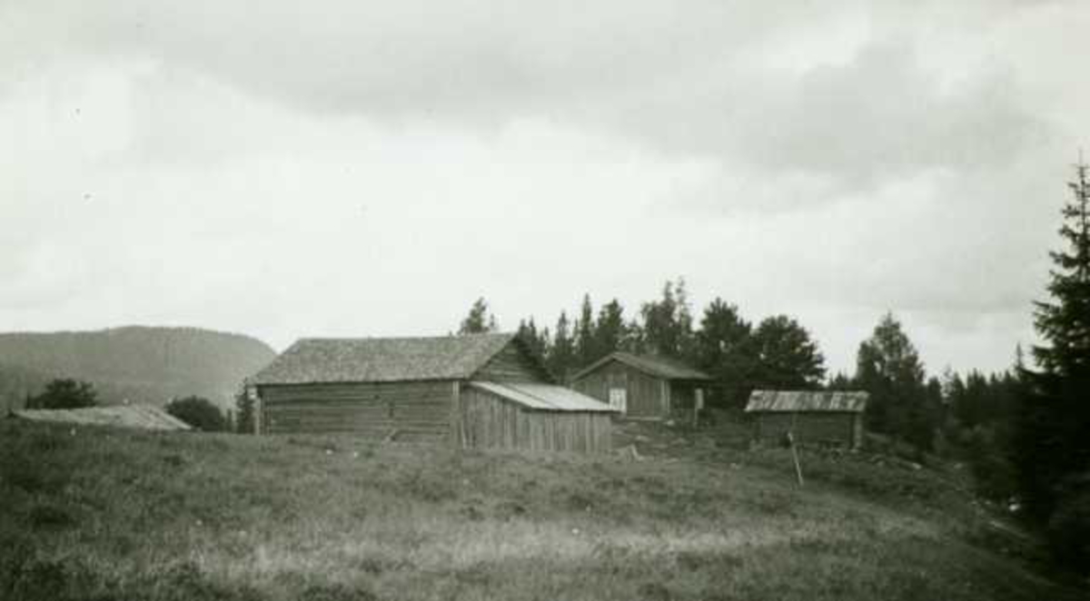 Gårdstun, Ryen, Grue Finnskog, Grue, Hedmark. Fotografert 1935.