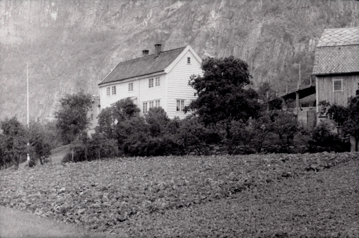 Storegraven, Granvin, Hordaland. Skolen med med låve sett fra et jorde. Innkjøpt til skolehus i 1865. Registrering utført 1958-59 av Johan Schiong for Noregs Lærarlag. 