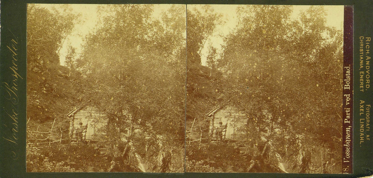 Vossebanen. Parti ved Bolstad(øyri), Voss, Hordaland. Gutt ved hesjer foran uthus.
Fra fotograf Axel Lindahls (1841-1906) serie stereofotografier, "Norske Prospecter".