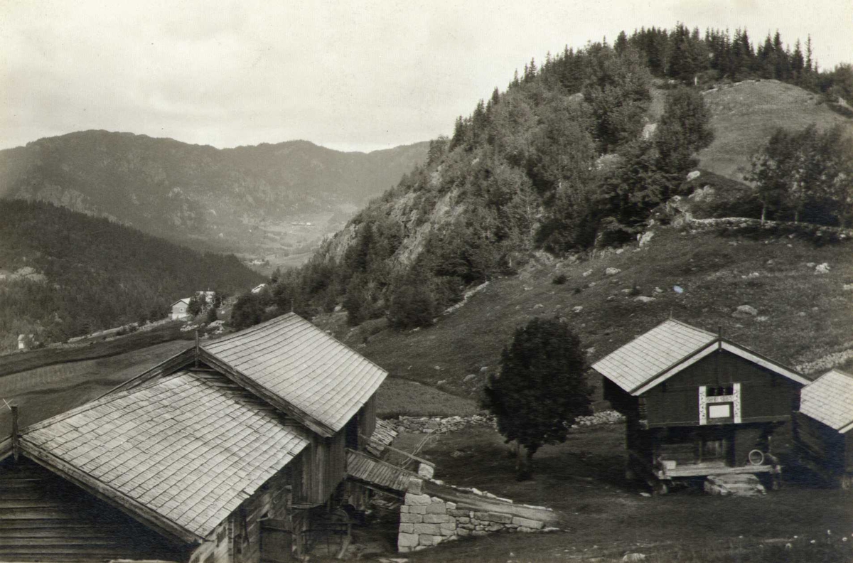 Gårdstun, Hauge, Morgedal, Kviteseid, Telemark. Fotografert 1916. 