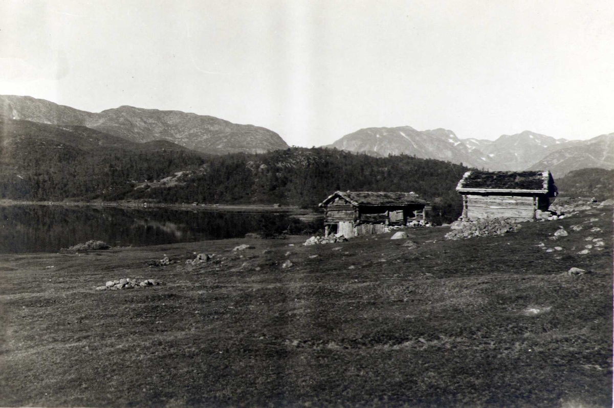 Gammel seter, Botnedalen, Tokke, Telemark. Fotografert 1921.