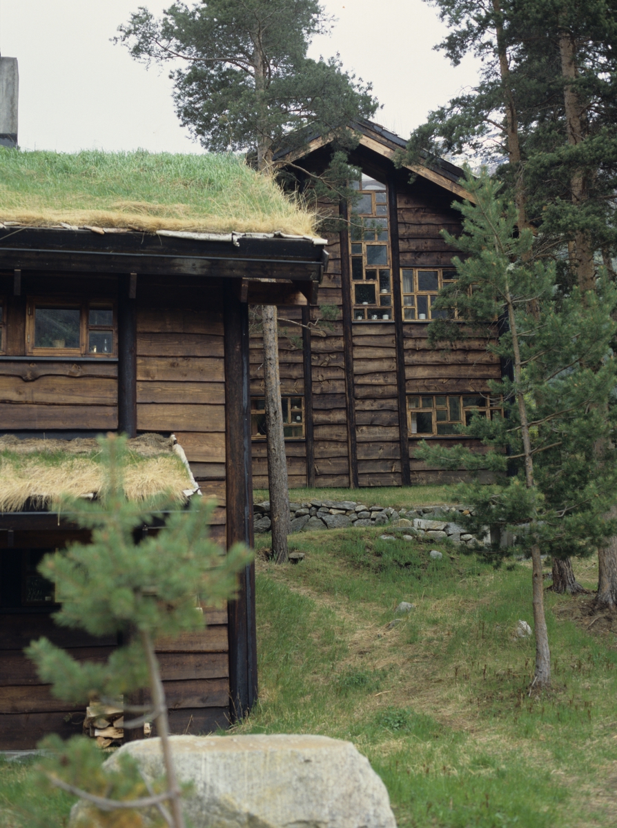 To eneboliger bygget 1982 etter stedlige byggetradisjoner, men med utradisjonelle løsninger, i Bøverdalen, Lom, Oppland. Arkitekter Karl Heldal og Helge Saatvedt.  Illustrasjonsbilde fra Bonytt 1986.