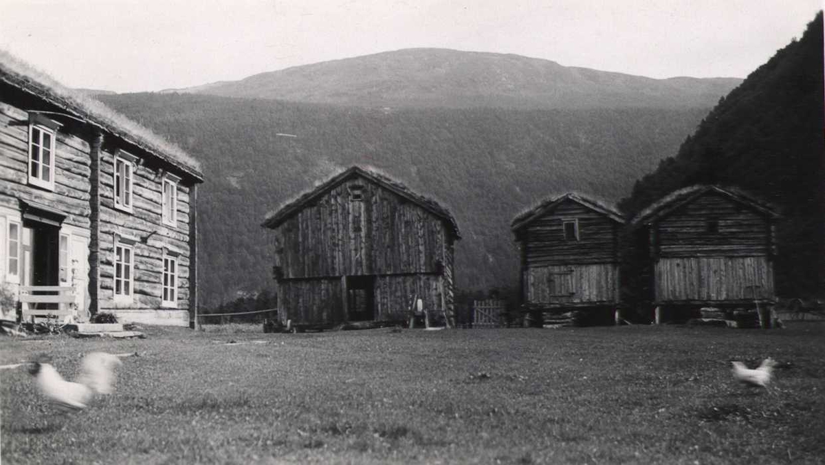 Gårdstun, Hjellmoen, Sunndal, Møre og Romsdal. Hovedbygningen oppført 1841. Fotografert 1937.