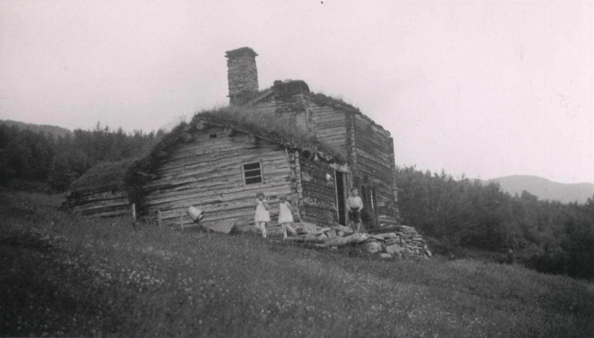 Setertun, Bryggen seter, Oppdal, Sør-Trøndelag.