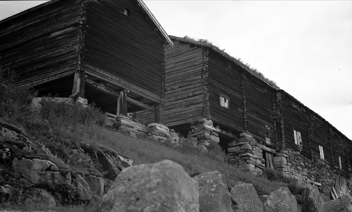 Bur og driftsbygninger, Stekra, Lønset, Oppdal, Sør-Trøndelag. Fotografert 1939. 