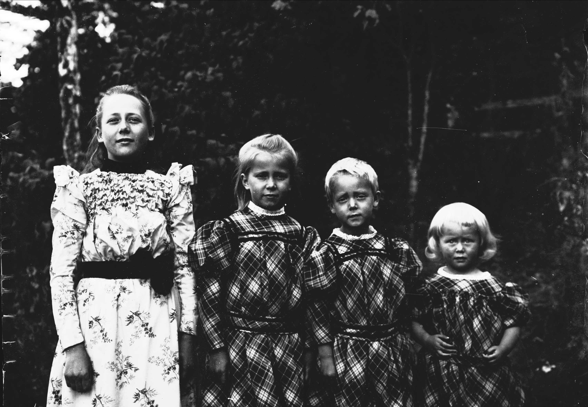 Serie bilder fra Lierbanen og Verdalselva bru i Verdal (1904). Familieliv, antagelig familien Lund ca 1900.