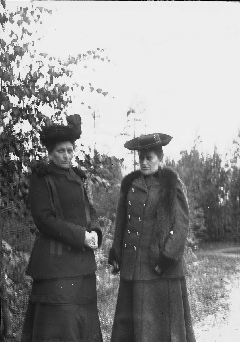 Serie bilder fra Lierbanen og Verdalselva bru i Verdal (1904). Familieliv, antagelig familien Lund ca 1900.