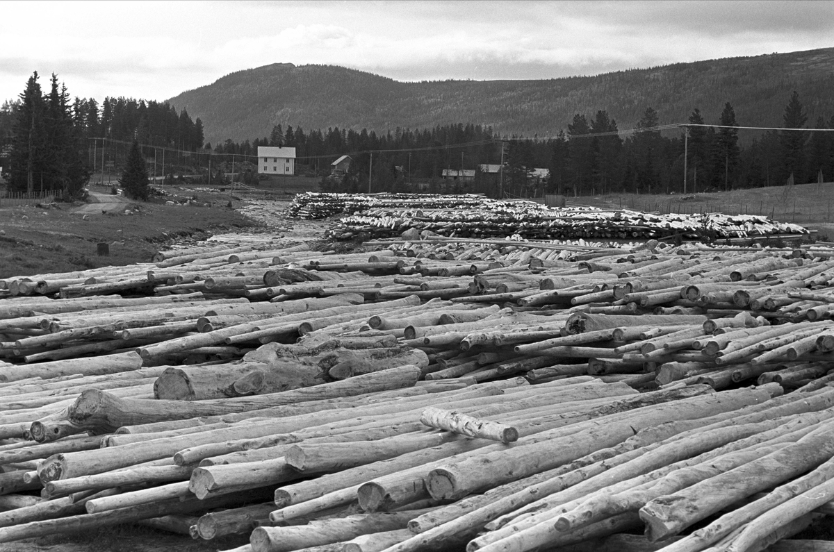 Serie. Engerdal sentrum med omegn og Engerdalfestivalen 1967. Engerdal, Hedmark.