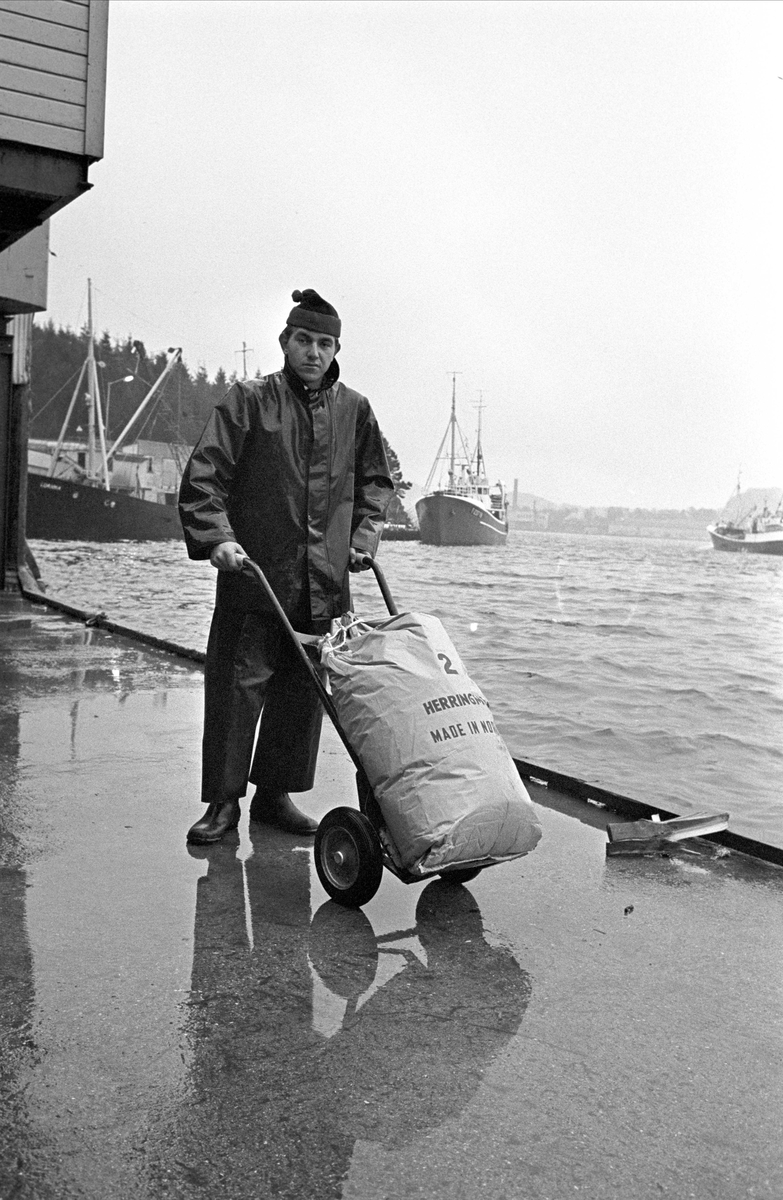 Serie. Fiskebåter ligger til kai, Egersund, Rogaland. Fotografert nov. 1965.