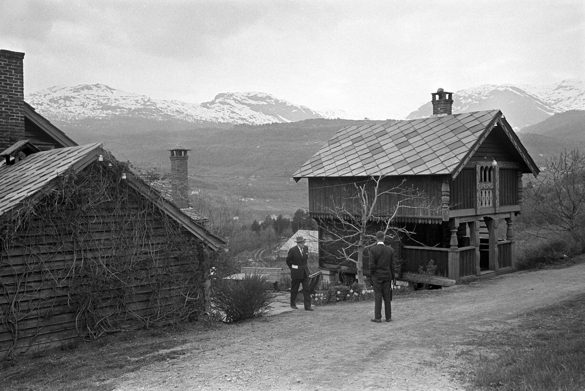 Serie. Hjeltnes hagebruksskole, Ulvik, Hordaland. Fotografert mai 1965.