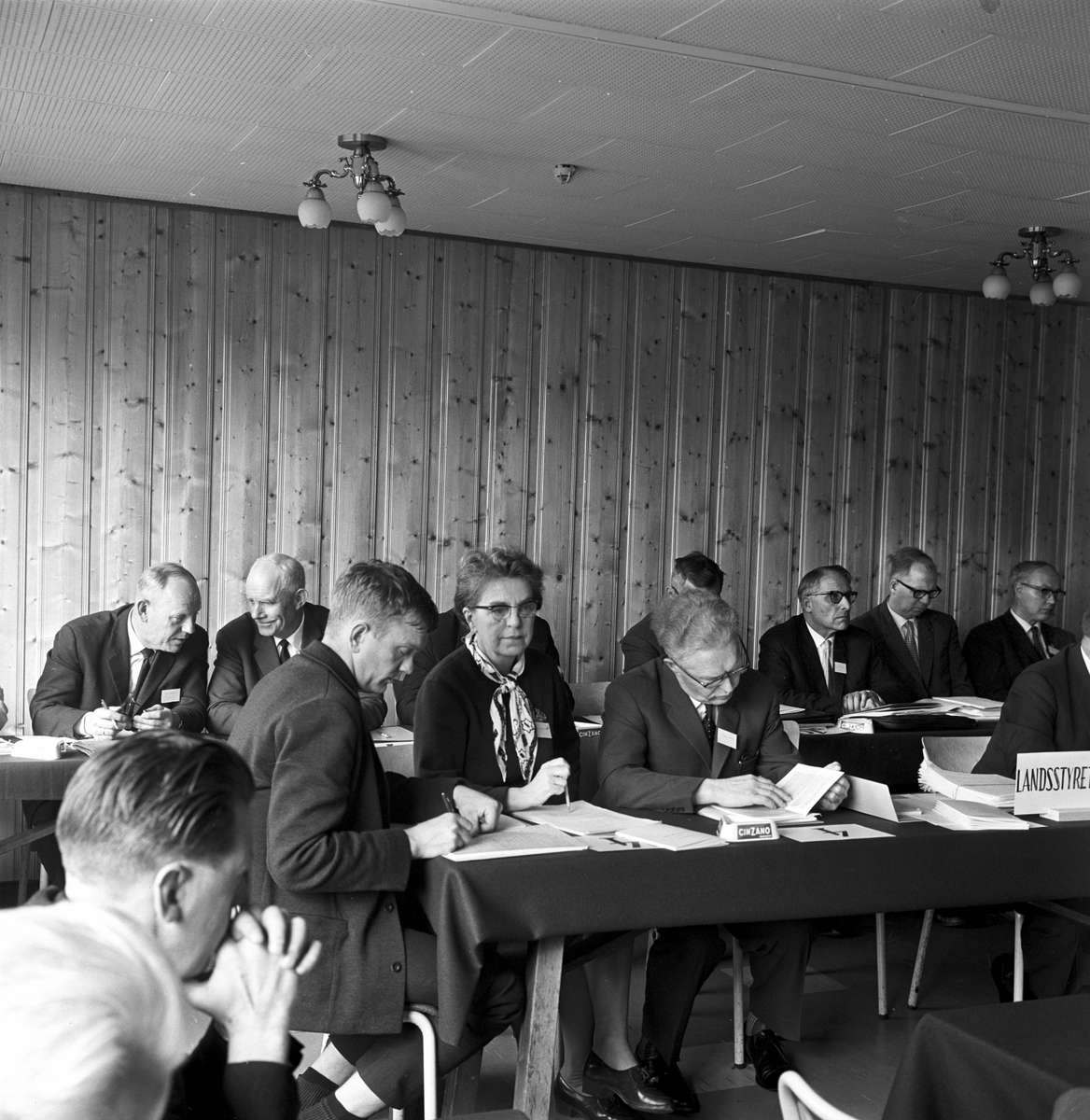 Serie. Fra partiet Venstres landsmøte på Voss i Hordaland. Fotografert mai 1964.