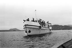 Serie. Dagbladarrangement (Gullfisk i Ålesund).
Fotografert 