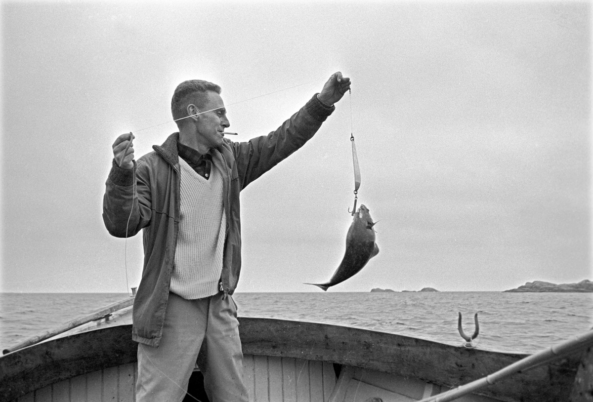 Serie. Dagbladets fiskekonkurranse "Gullfisk" i Mandal, Vest-Agder. Fotografert 1967.