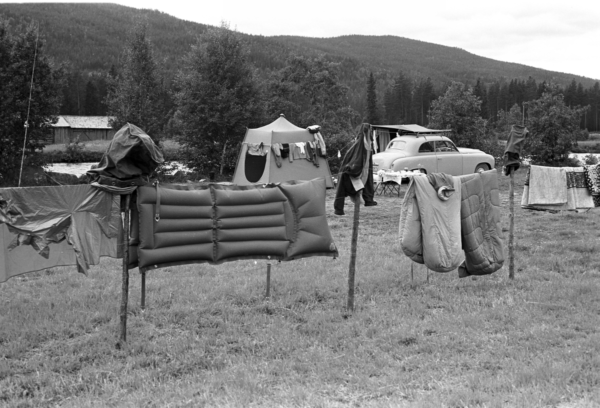 Campingliv. Tøy, luftmadrass og soveposer henger til tørk. Fotografert 1962.