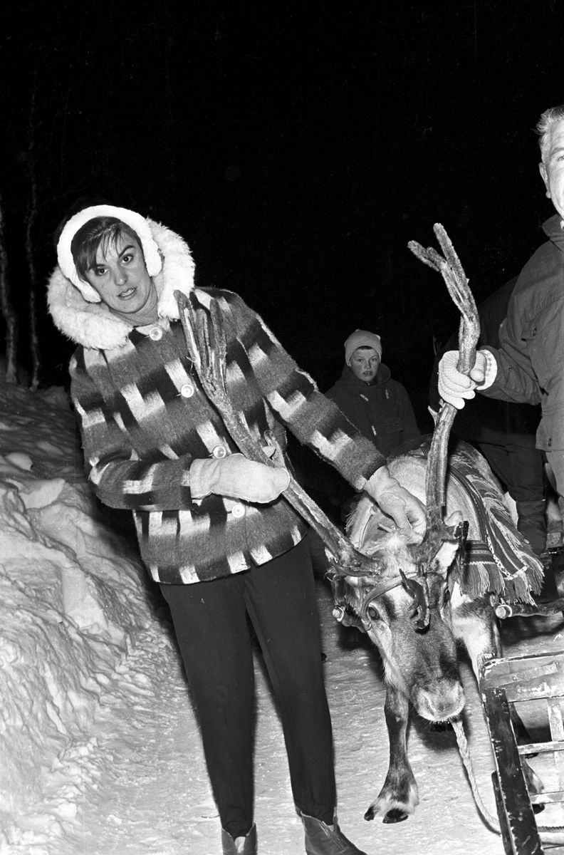 Serie. Vinteruke for turister på Geilo, med reinsdyrkjøring og skiinstruksjon. Fotografert februar 1965.