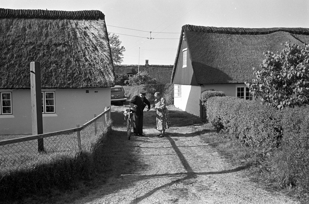 Serie. Fra Fanø, Danmark. Sønderho med stråtekte hus, Vadehavet samt lokal skoleklasse. Fotografert juni 1964.