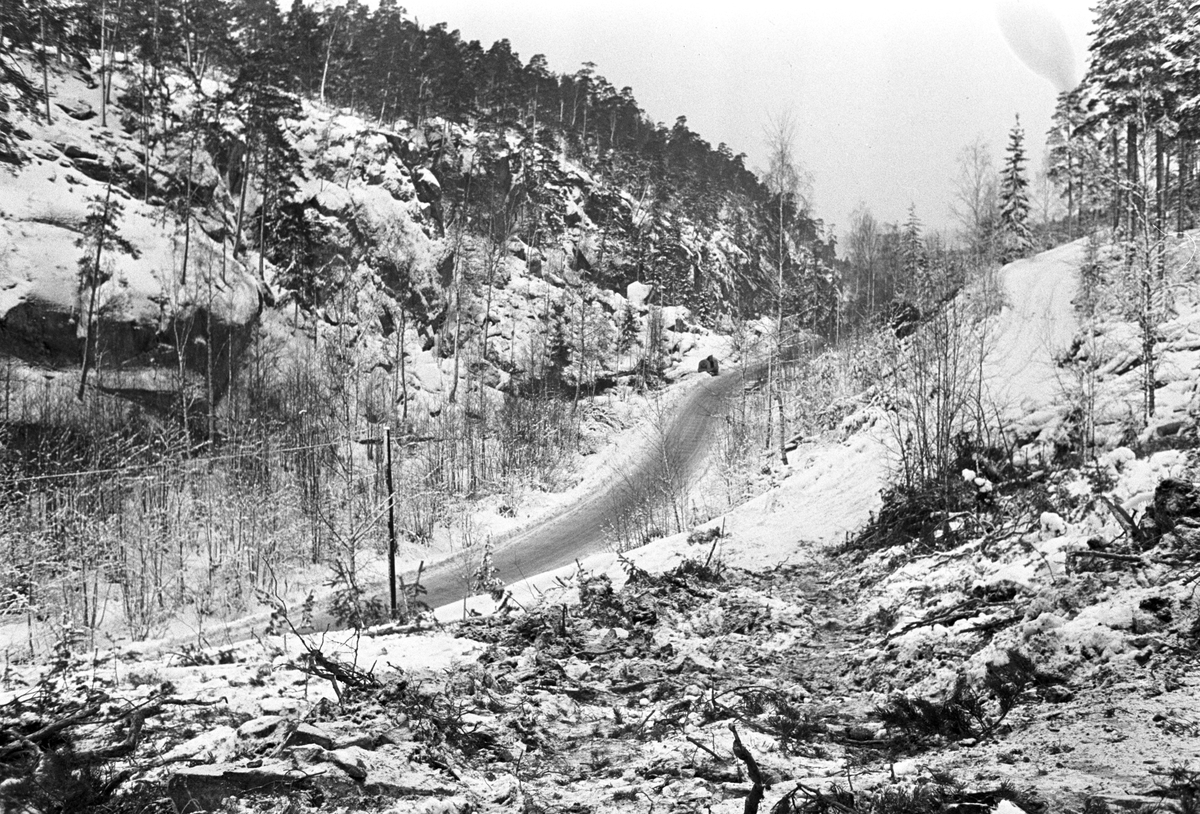 Skogsområde blir ny Mossevei. Fotografert februar 1969.